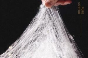 long fiber cotton image for post