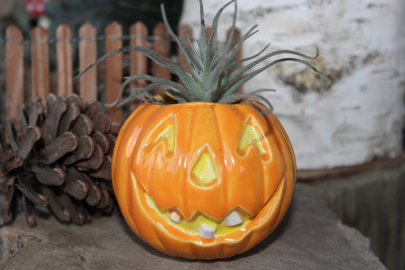 Halloween Gift Ideas—Ceramic Pumpkin Jack O Lantern Planter