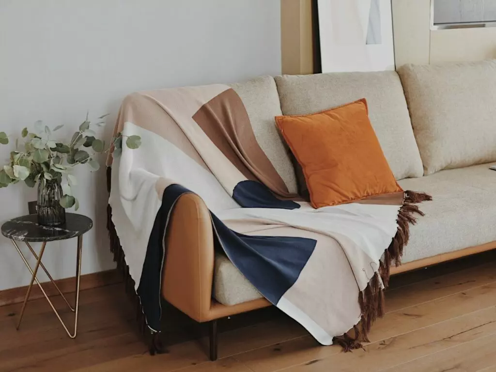 cushion and throw blanket