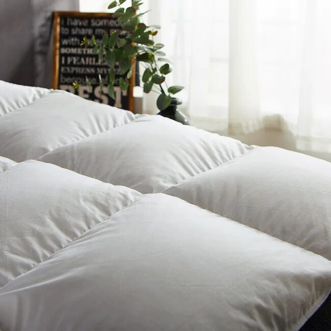 Top 12 All-Season Down Alternative Comforter | Realicozy