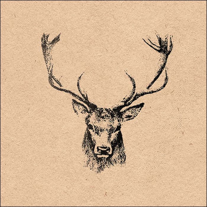 Recycle " reindeer" paper napkin