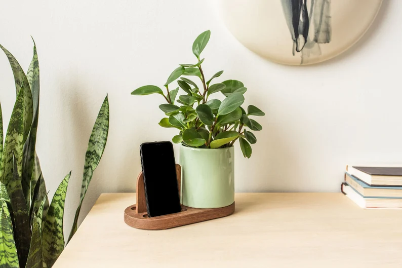  Amazon white elephant gift ideas and alternatives—Flora Planter Phone Stand 