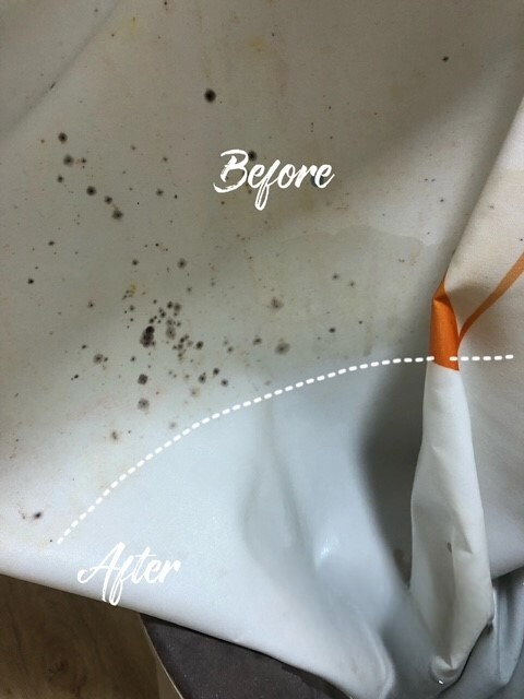 shower curtain mold cleaning