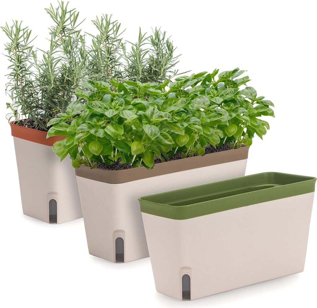 Window Herb Planter Box