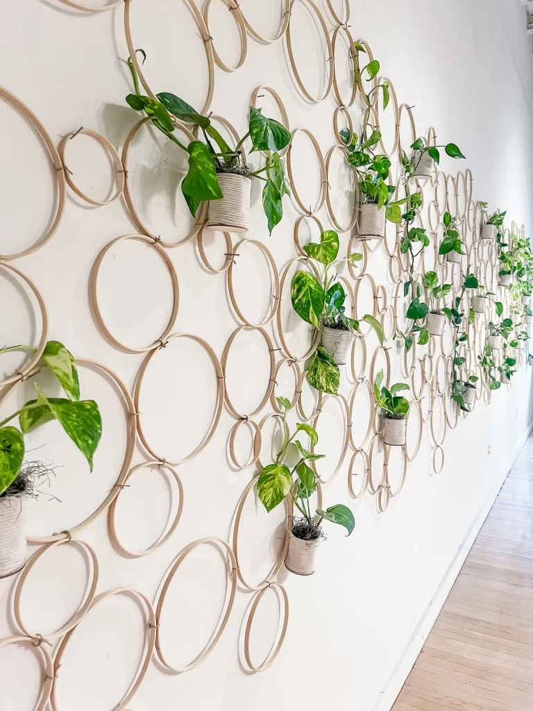 Bamboo Circle Trellis for Indoor Plants