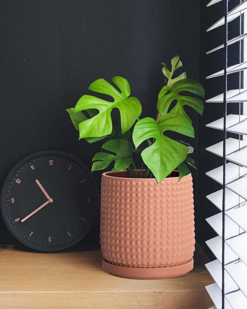 Terracotta Beaded Planter Pot