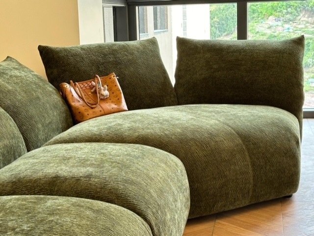 Green Chenille Sofa in a Living Room