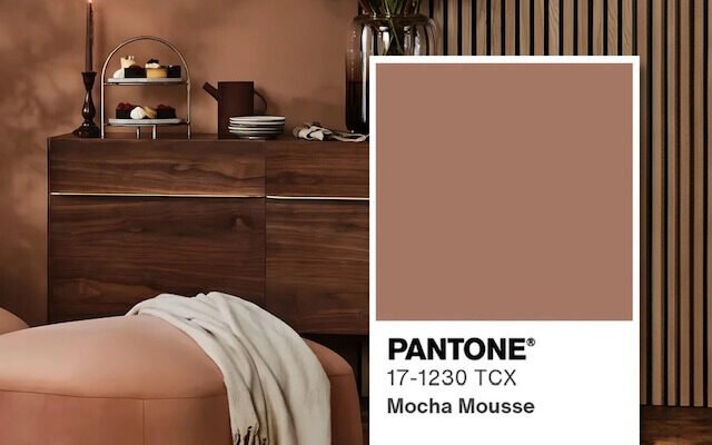 Pantone Color of the year 2025